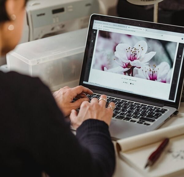 Creative Online Suite 8558889618 Web Network