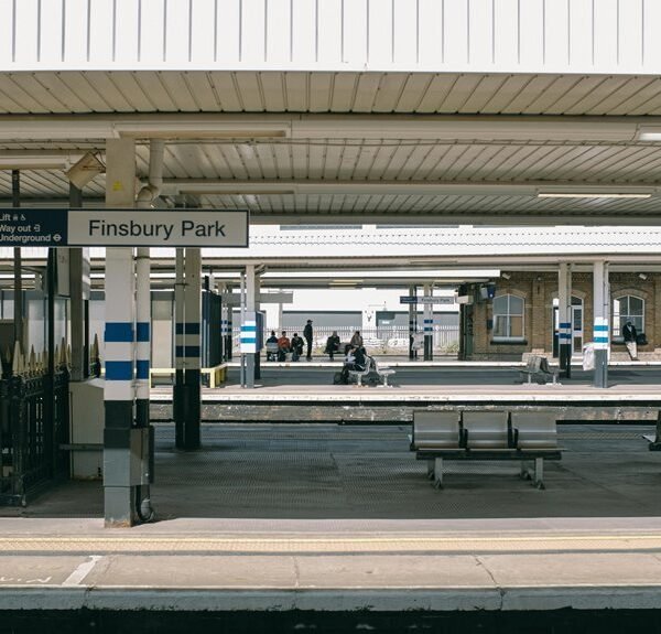 dynamic digital hub platform