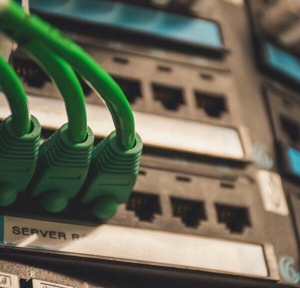 dynamic digital hub web network