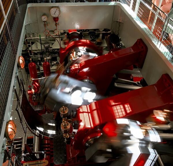 Dynamic Digital Suite 605694374 Online Engine