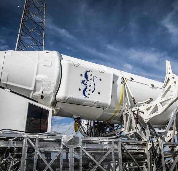 dynamic online engine platform