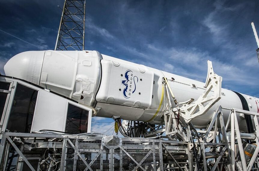 dynamic online engine platform