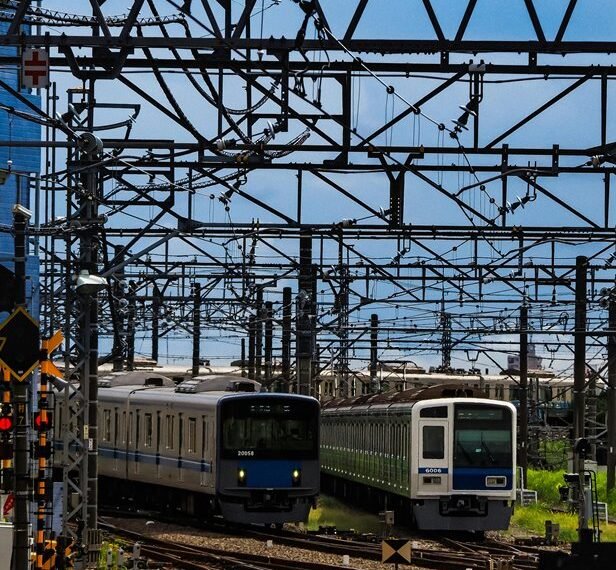 dynamic web network platform online