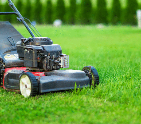Why Absolute Lawn Pros, Inc Is Cumming's Most Reliable Lawn Mowing Company