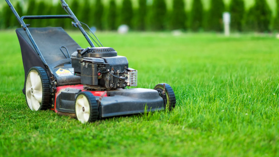 Why Absolute Lawn Pros, Inc Is Cumming's Most Reliable Lawn Mowing Company