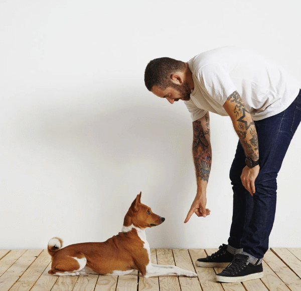 The Science Behind Reward-Based Dog Training Methods