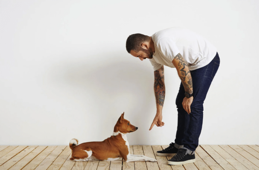 The Science Behind Reward-Based Dog Training Methods
