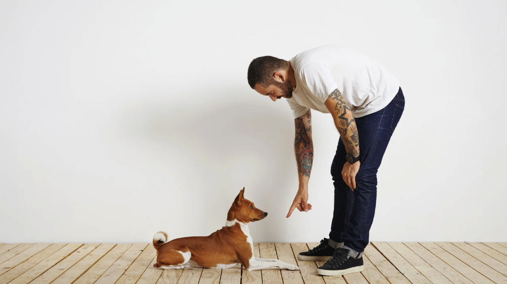 The Science Behind Reward-Based Dog Training Methods